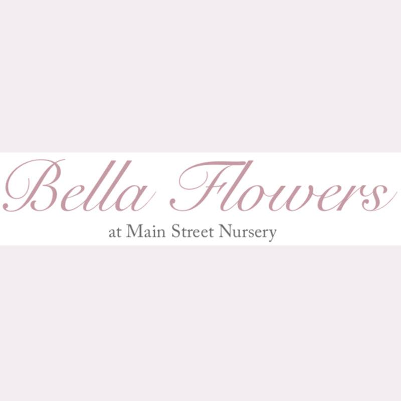 Bella Flowers