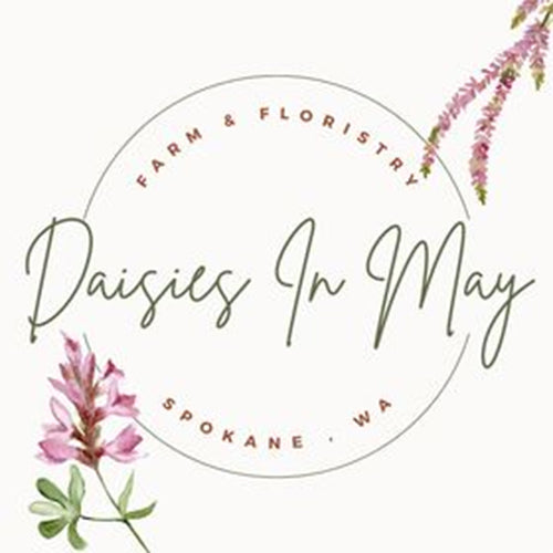 Daisies in May